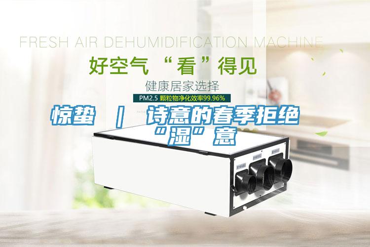 惊蛰 ｜ 诗意的春季拒绝“湿”意