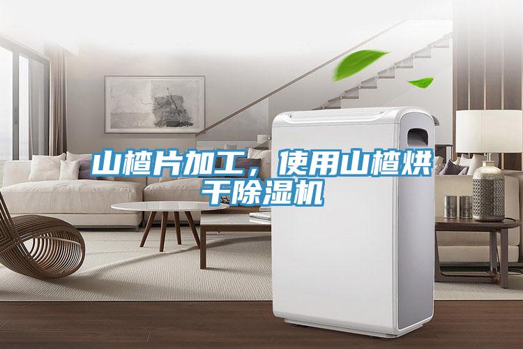 山楂片加工，使用山楂烘干除湿机