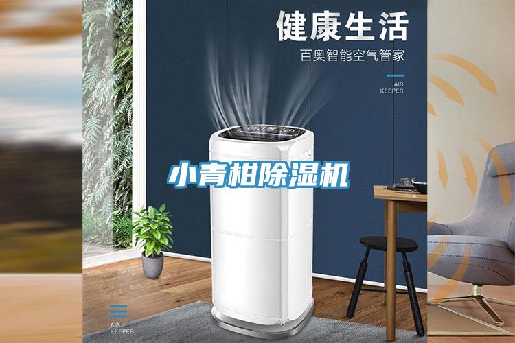 小青柑除湿机