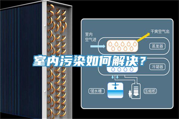 室内污染如何解决？
