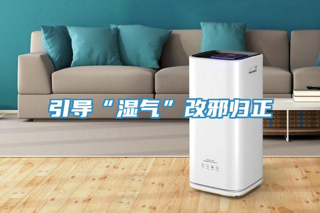 引导“湿气”改邪归正
