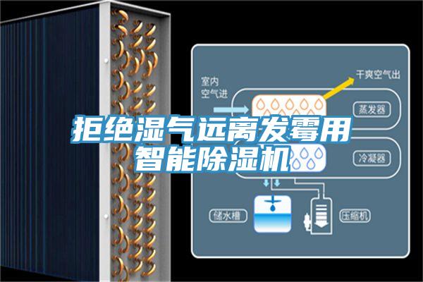 拒绝湿气远离发霉用智能除湿机