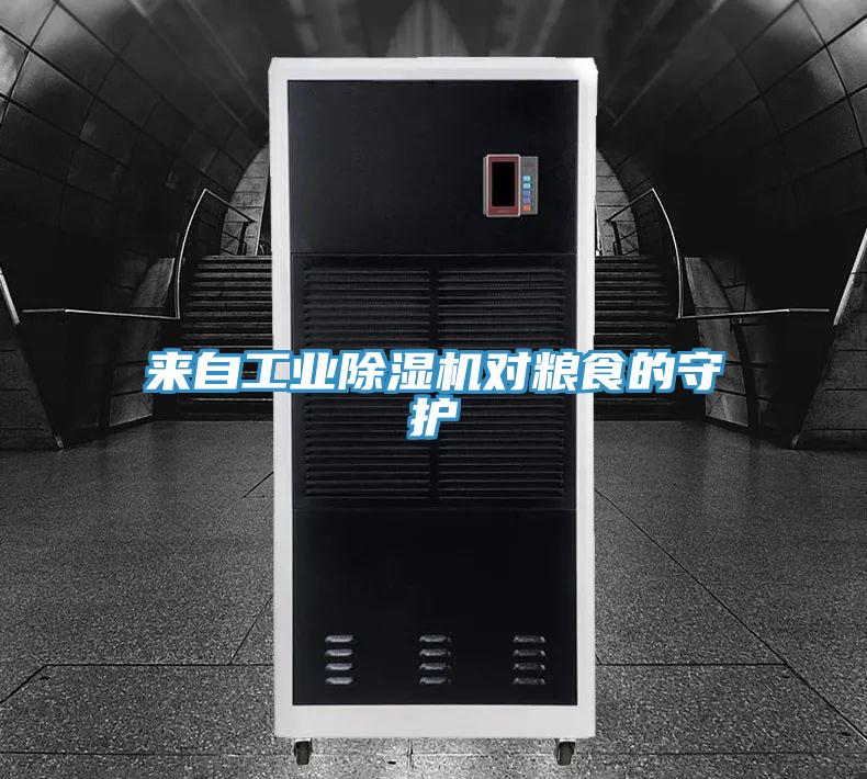 来自工业除湿机对粮食的守护