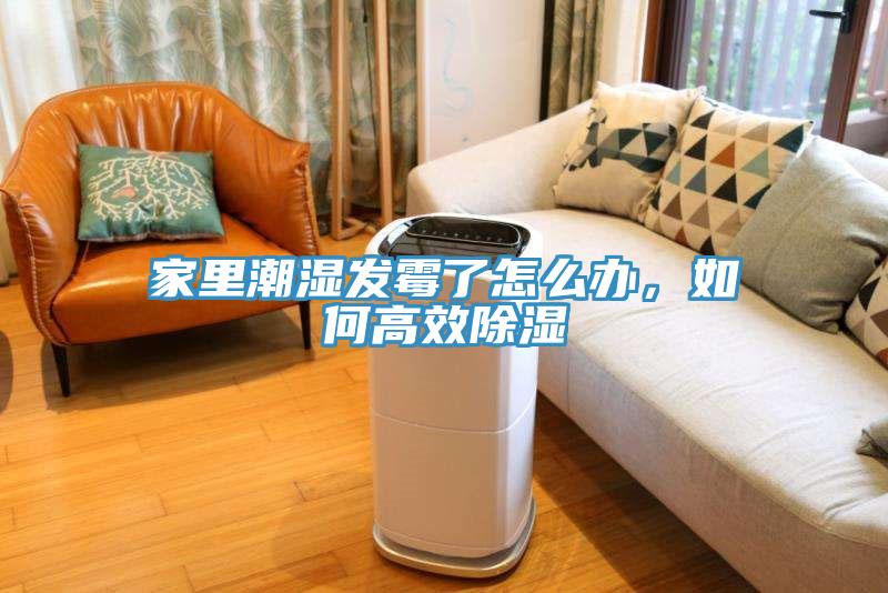 家里潮湿发霉了怎么办，如何高效除湿