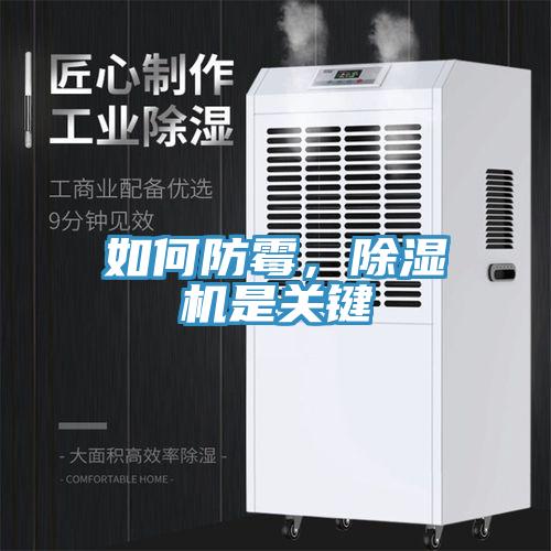 如何防霉，除湿机是关键