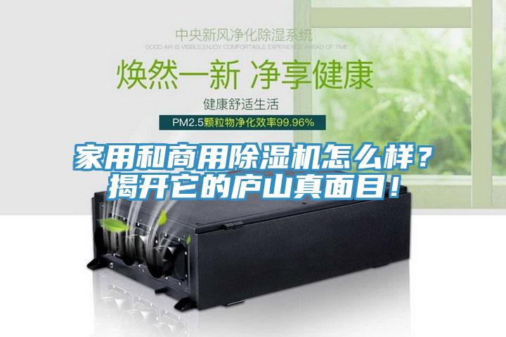 家用和商用除湿机怎么样？揭开它的庐山真面目！