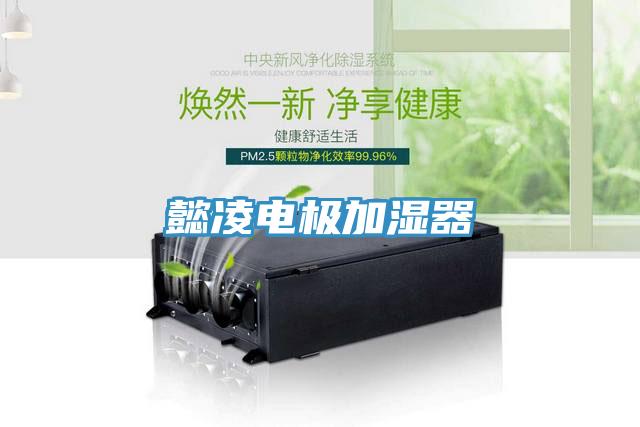 懿凌电极加湿器