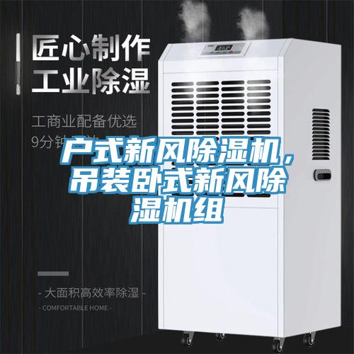 户式新风除湿机，吊装卧式新风除湿机组
