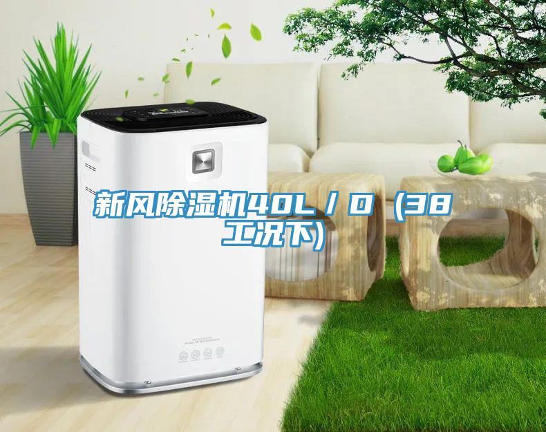 新风除湿机40L／D (38工况下)