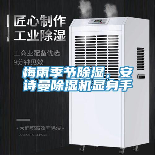 梅雨季节除湿，安诗曼除湿机显身手