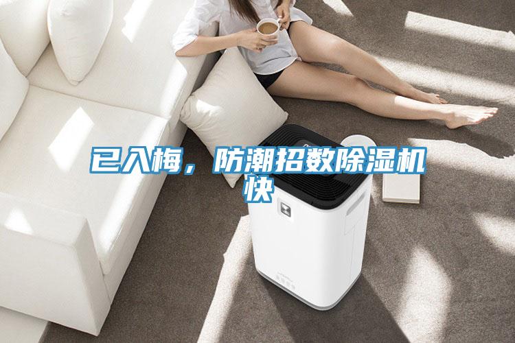 已入梅，防潮招数除湿机快