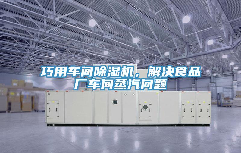 巧用车间除湿机，解决食品厂车间蒸汽问题