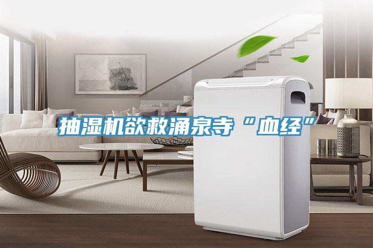 抽湿机欲救涌泉寺“血经”