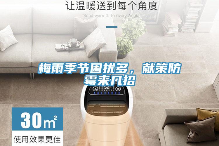 梅雨季节困扰多，献策防霉来几招