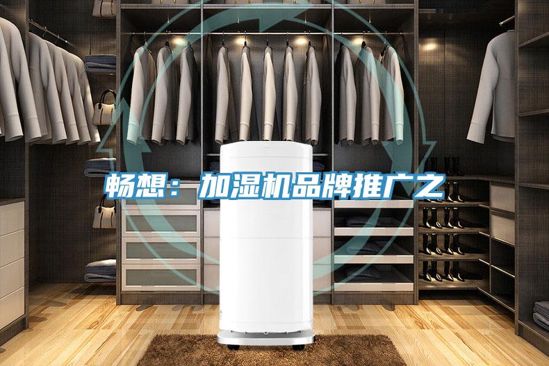 畅想：加湿机品牌推广之