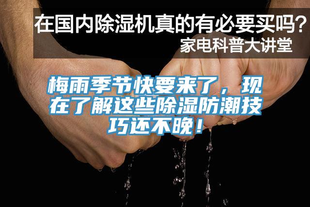 梅雨季节快要来了，现在了解这些除湿防潮技巧还不晚！