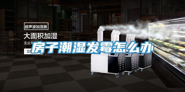 房子潮湿发霉怎么办