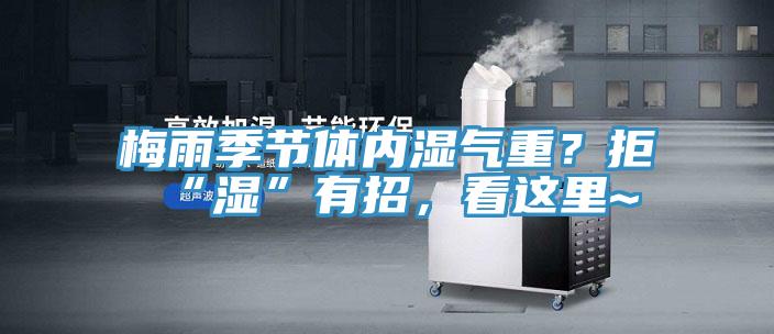 梅雨季节体内湿气重？拒“湿”有招，看这里~
