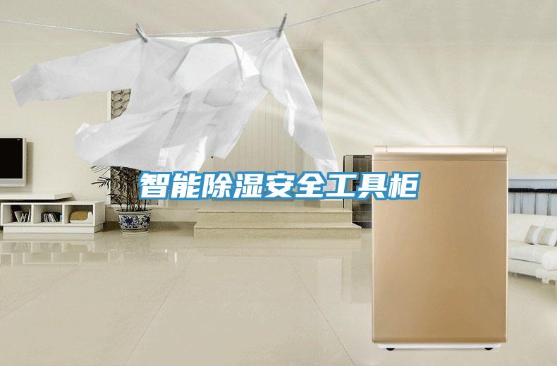 智能除湿安全工具柜