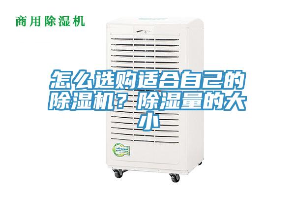 怎么选购适合自己的除湿机？除湿量的大小