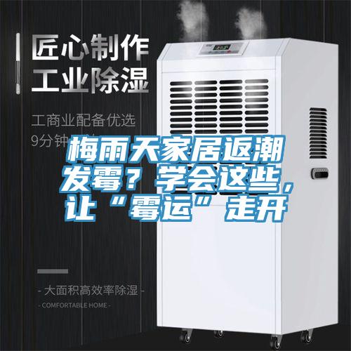 梅雨天家居返潮发霉？学会这些，让“霉运”走开