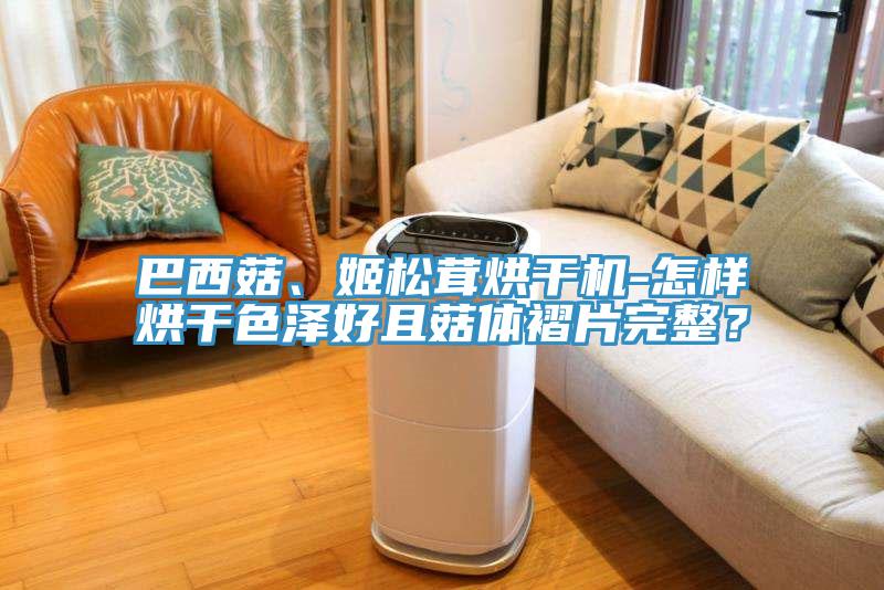 巴西菇、姬松茸烘干机-怎样烘干色泽好且菇体褶片完整？