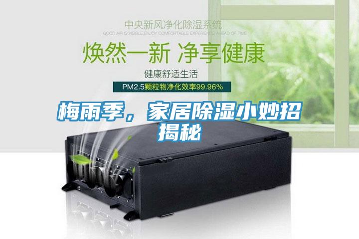 梅雨季，家居除湿小妙招揭秘