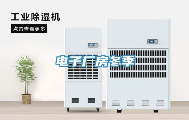 电子厂房冬季
