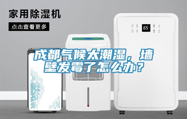 成都气候太潮湿，墙壁发霉了怎么办？
