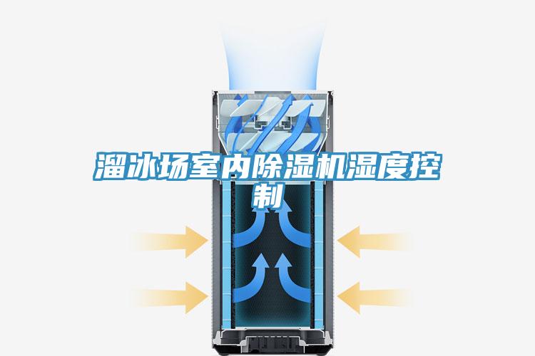溜冰场室内除湿机湿度控制