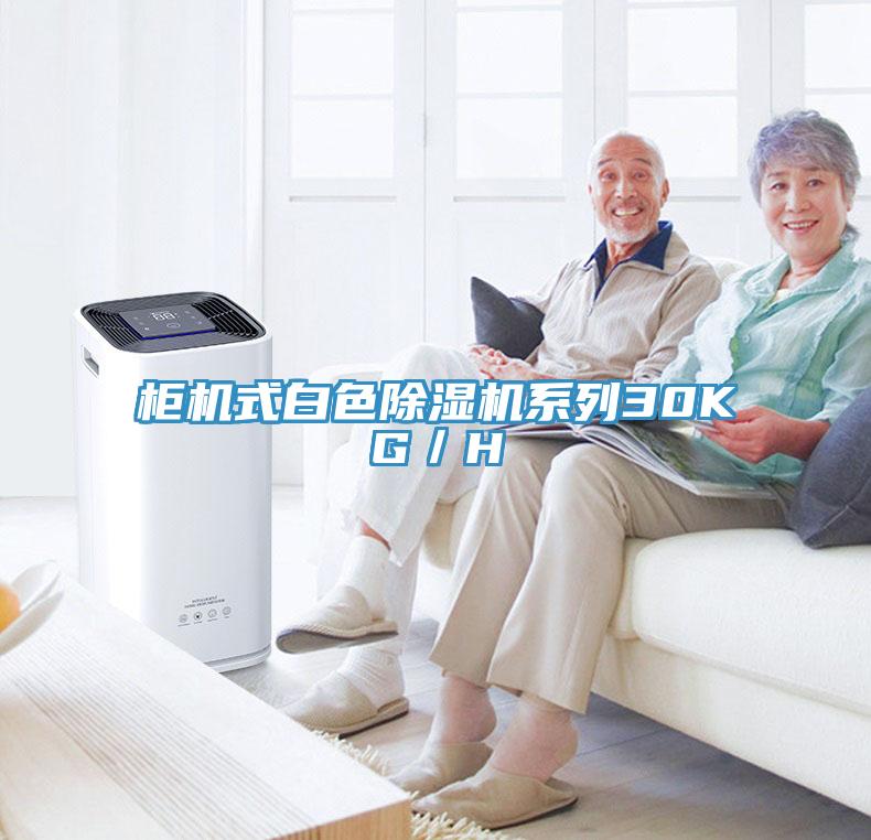 柜机式白色除湿机系列30KG／H