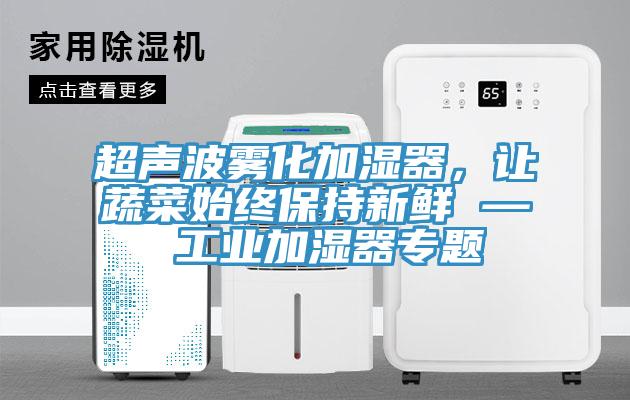 超声波雾化加湿器，让蔬菜始终保持新鲜 — 工业加湿器专题