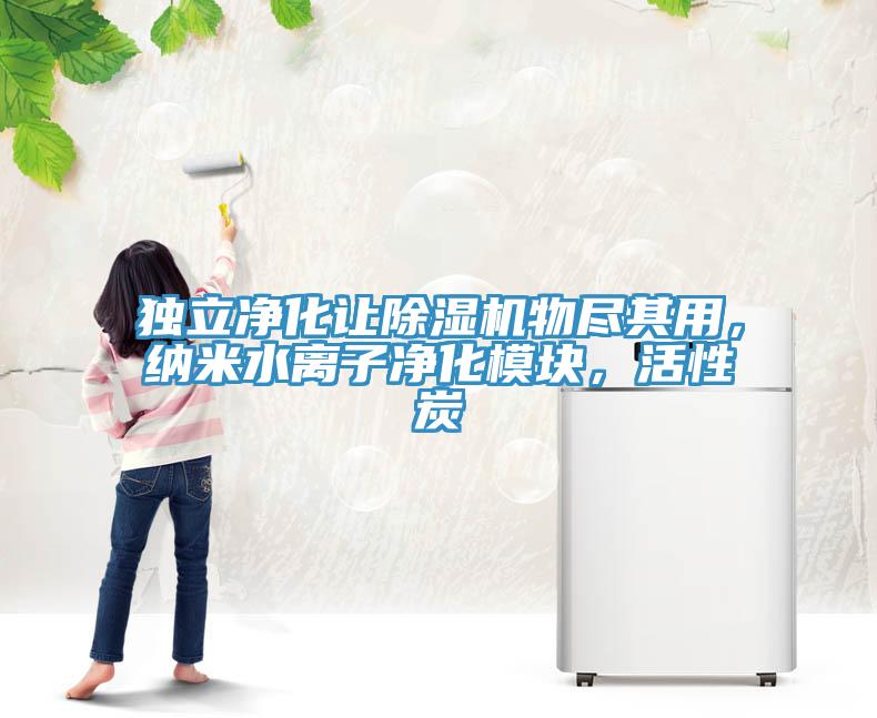 独立净化让除湿机物尽其用，纳米水离子净化模块，活性炭