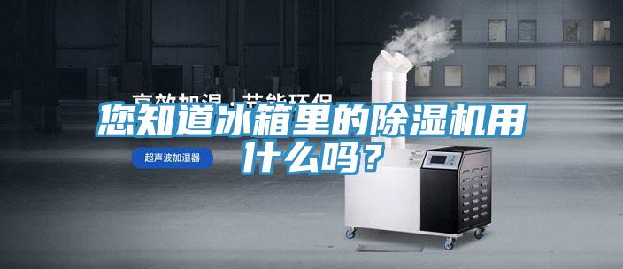 您知道冰箱里的除湿机用什么吗？