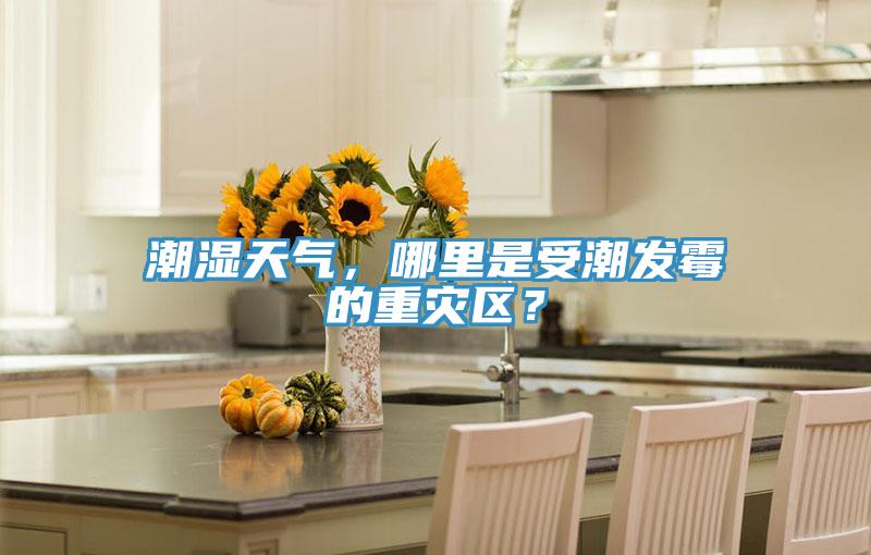 潮湿天气，哪里是受潮发霉的重灾区？