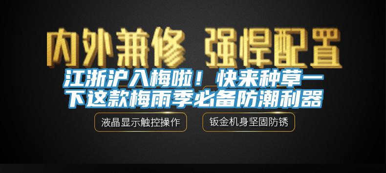 江浙沪入梅啦！快来种草一下这款梅雨季必备防潮利器