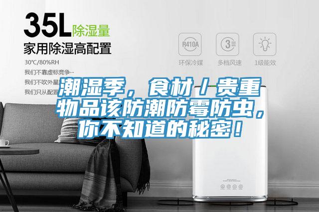 潮湿季，食材／贵重物品该防潮防霉防虫，你不知道的秘密！