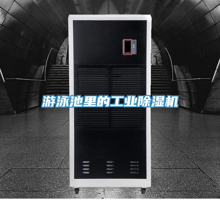 游泳池里的工业除湿机