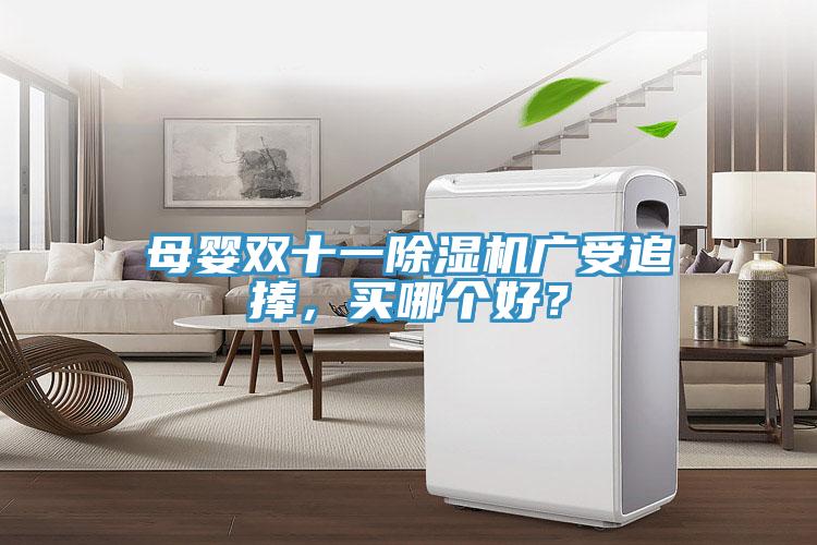 母婴双十一除湿机广受追捧，买哪个好？