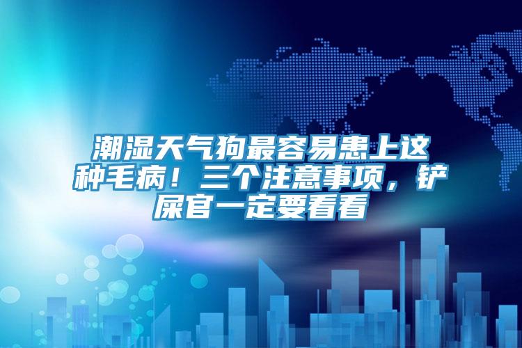 潮湿天气狗最容易患上这种毛病！三个注意事项，铲屎官一定要看看