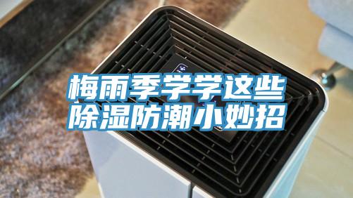 梅雨季学学这些除湿防潮小妙招