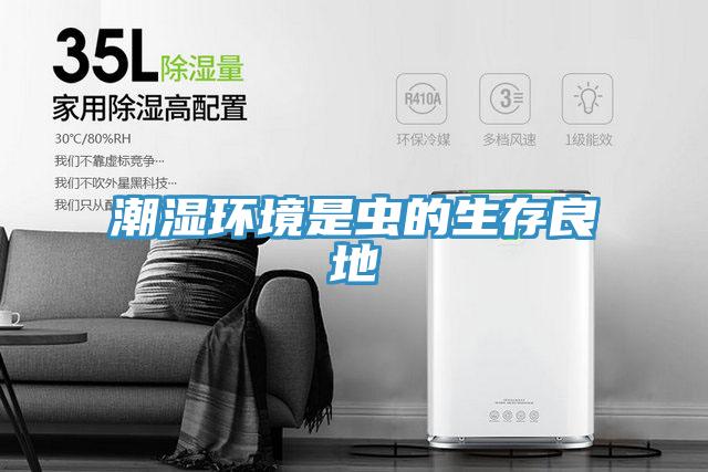 潮湿环境是虫的生存良地