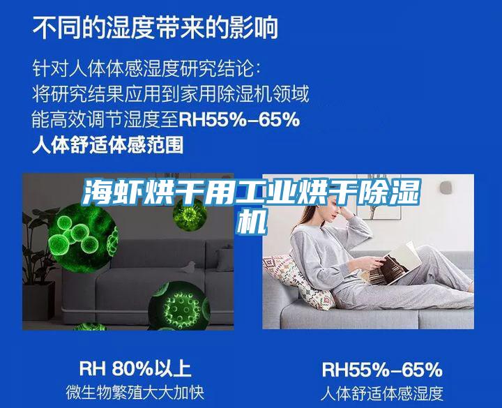 海虾烘干用工业烘干除湿机