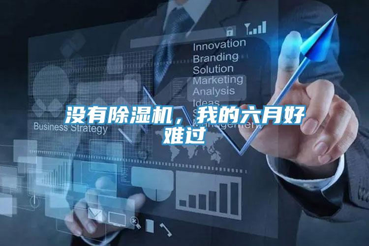 没有除湿机，我的六月好难过
