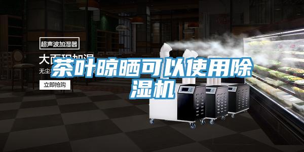 茶叶晾晒可以使用除湿机