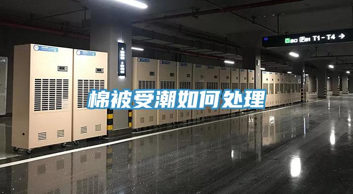 棉被受潮如何处理