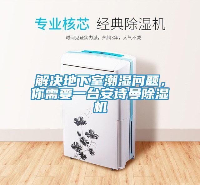 解决地下室潮湿问题，你需要一台安诗曼除湿机