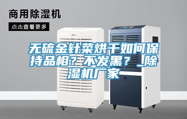 无硫金针菜烘干如何保持品相？不发黑？_除湿机厂家