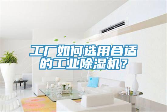 工厂如何选用合适的工业除湿机？