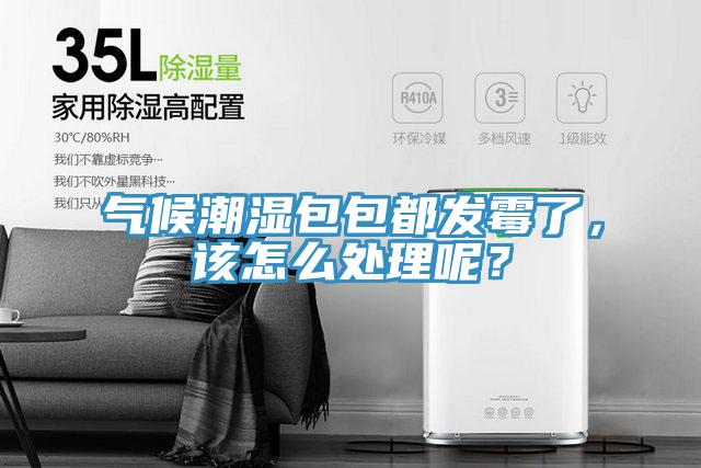 气候潮湿包包都发霉了，该怎么处理呢？